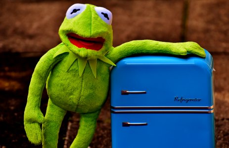 Kermit The Frog Plush Toy photo