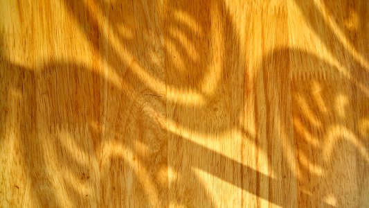Brown And White Surface