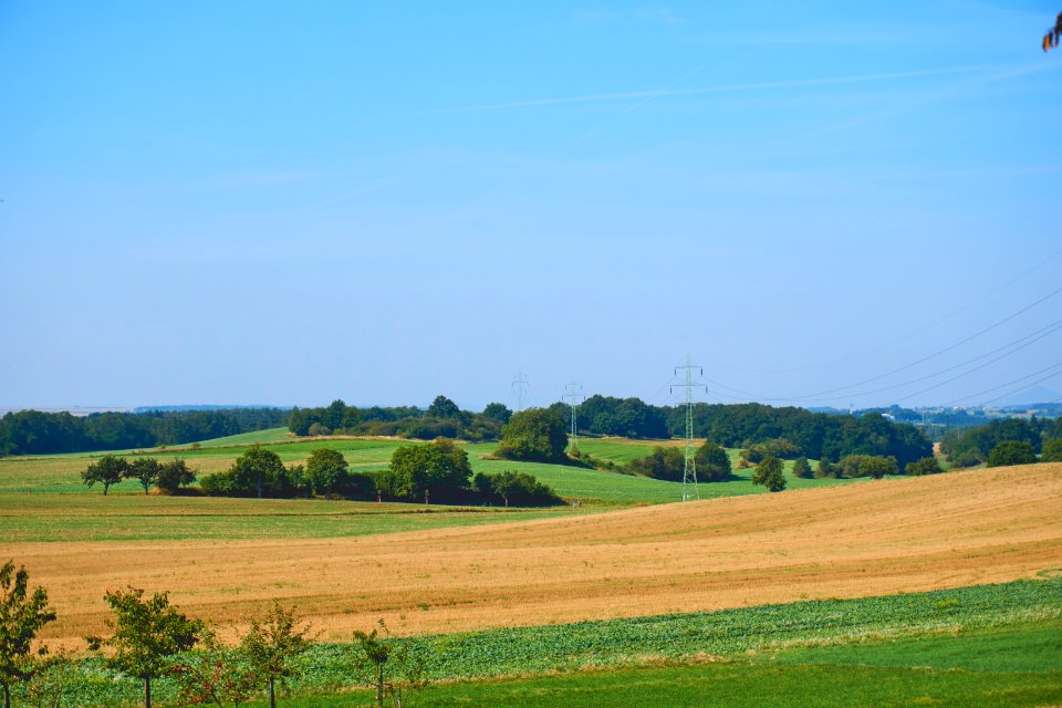 Brown Sand Dunes Surrounded By Green Grass Under The Blue Sky
