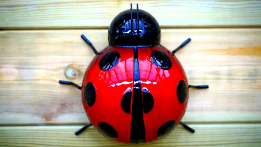Ladybug Plastic Toy