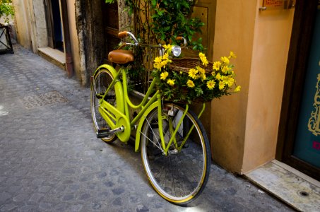 Green Cruiser Beach Bike With Yellow Flower On Basket photo