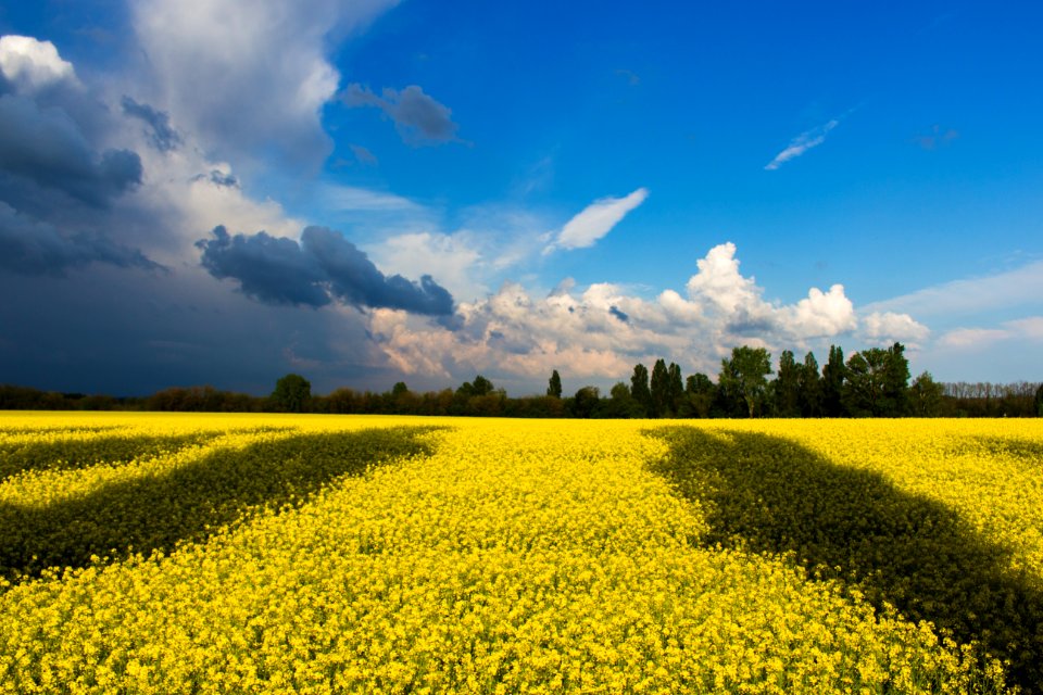 Green Field Under White And Blue Clouds During Daytime photo