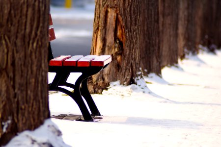 Park Bench In Winter Snow