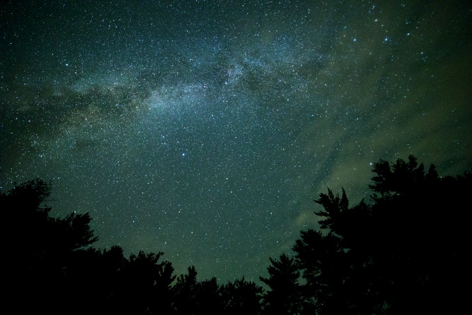 Starry Sky Over Silhouette Of Trees photo