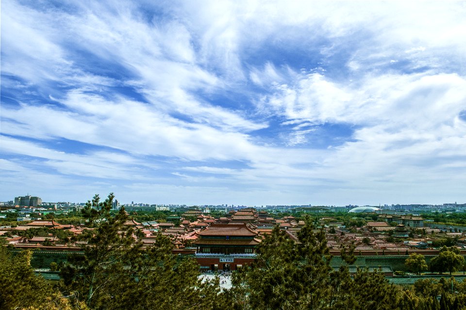 Green Trees