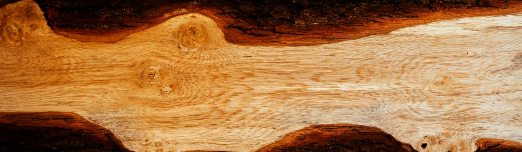Wood Grain Texture photo