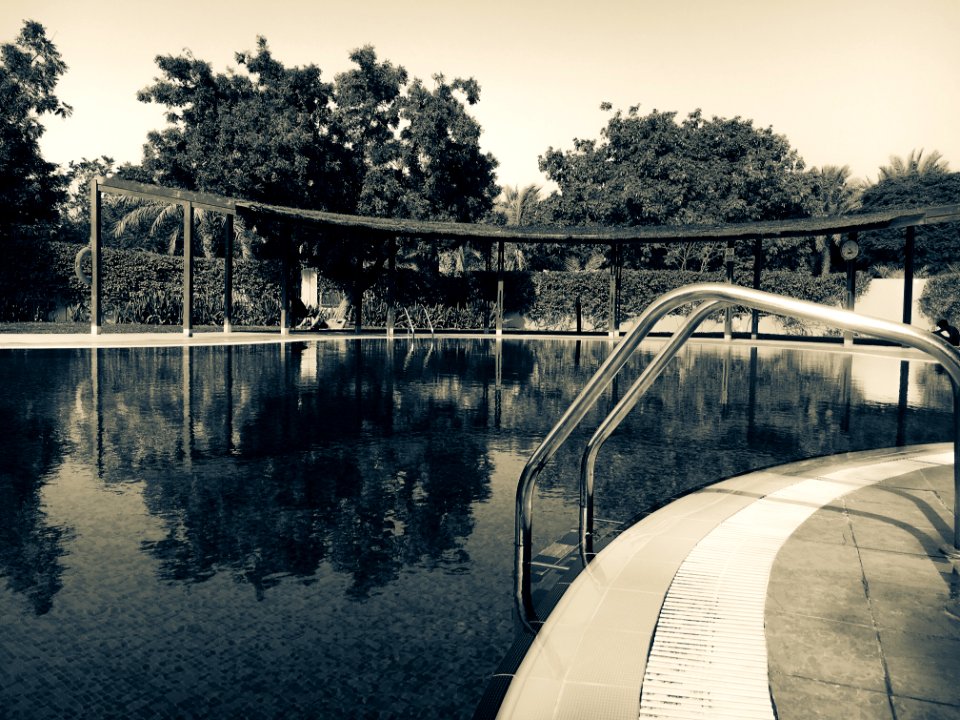 Sepia Photography Of Swimming Pool