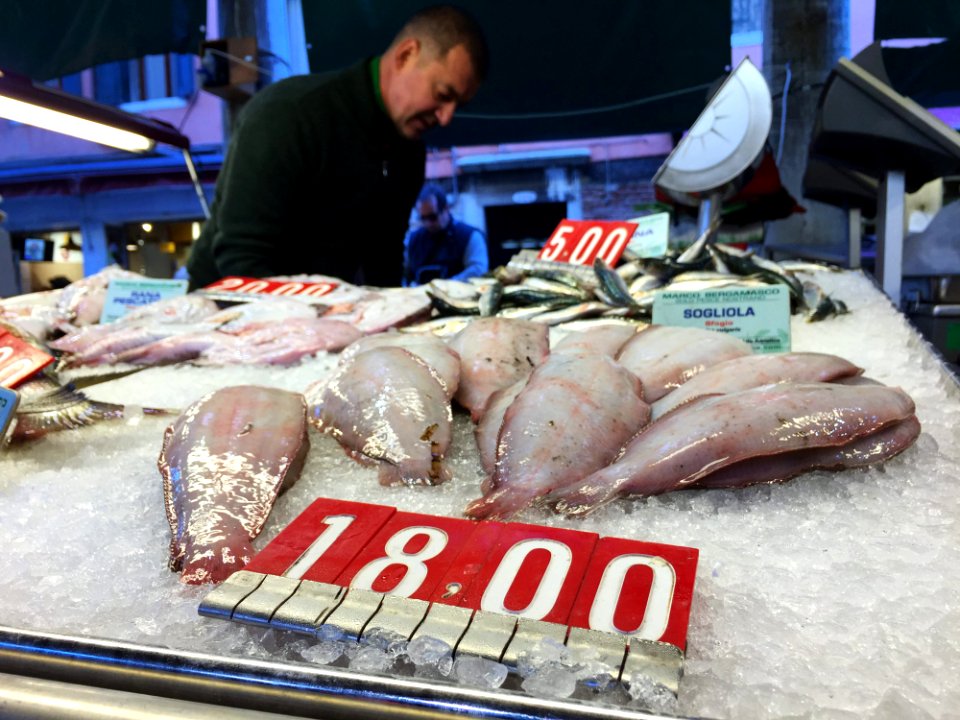 Man At Fish Market