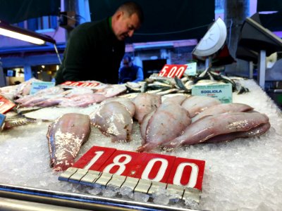 Man At Fish Market