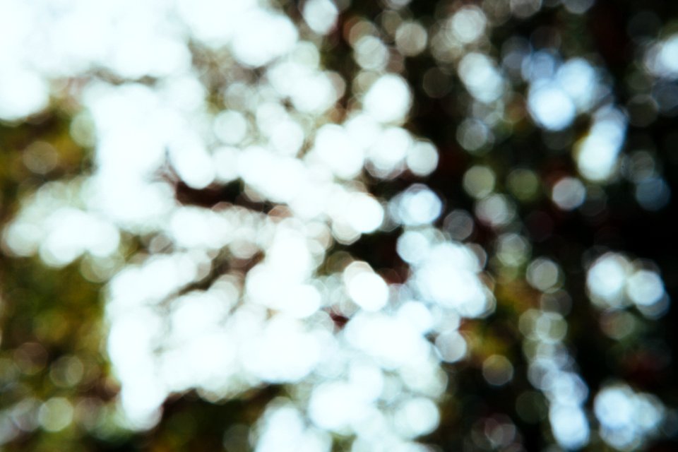 Bokeh Light Background