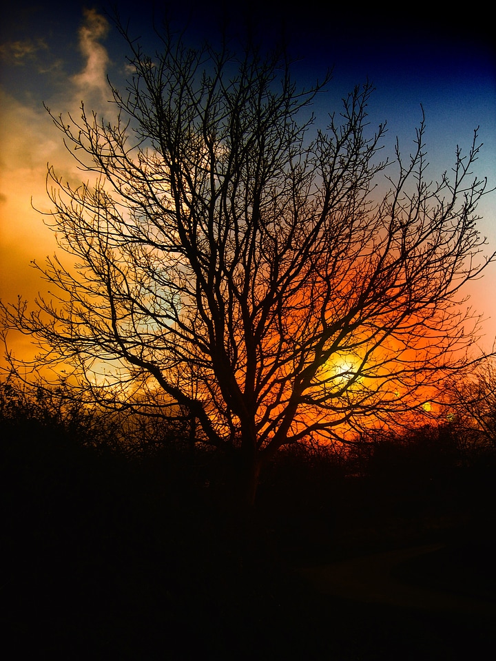 Sky clouds orange