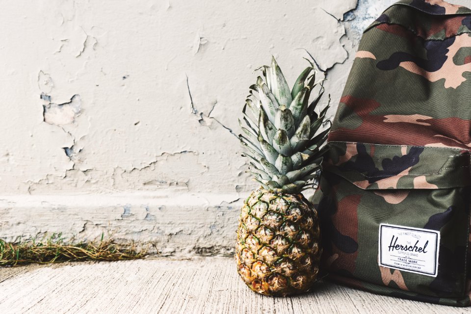 Backpack And Pineapple