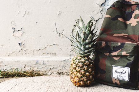Backpack And Pineapple