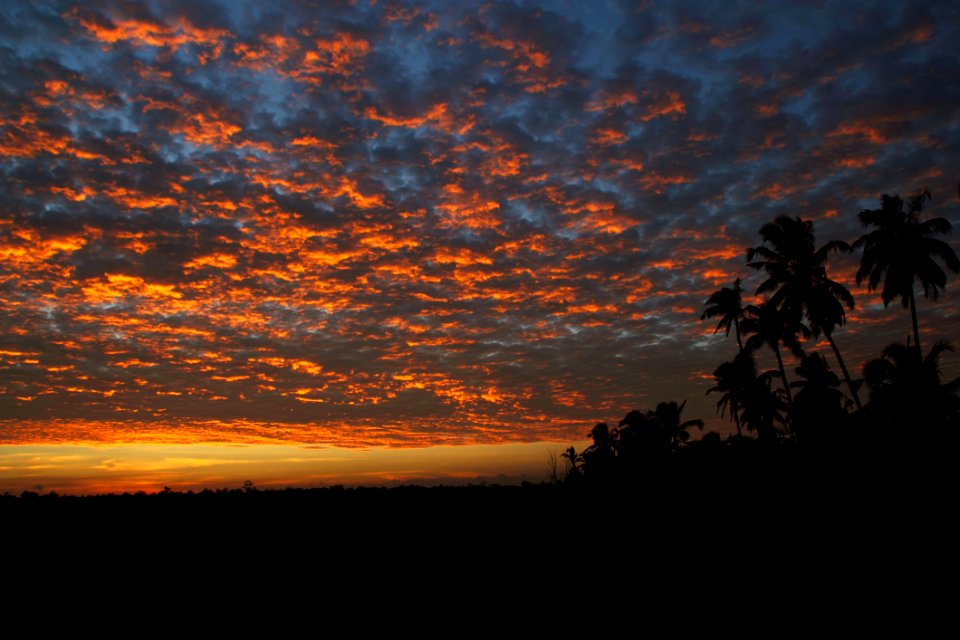 Coconut Trees Under Light And Dark Sky During Sunset