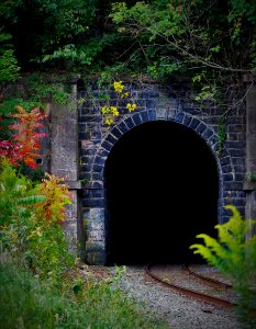 Photo Of Train Tunnel During Daytime photo