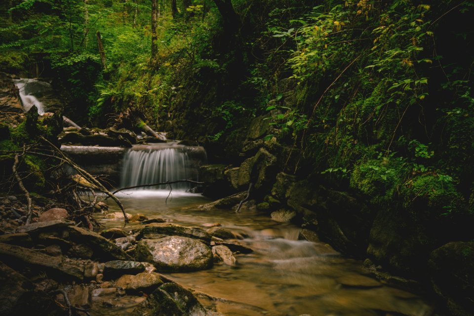 Forest And Water Falls Landscape Photo