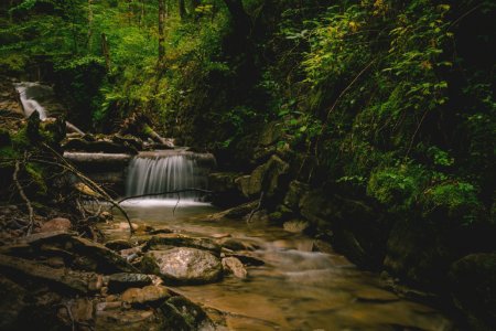 Forest And Water Falls Landscape Photo photo