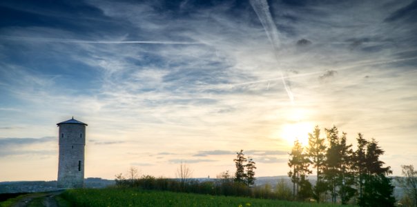 Green Trees On Horizon