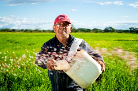 Man In Red Fitted Cap In Green High Grass During Daytime