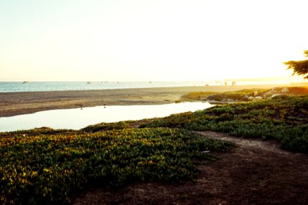 Beach With Pond photo