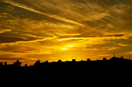Buildings Silhouette During Sunset photo