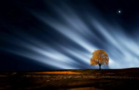 Night Skies Over Rural Landscape