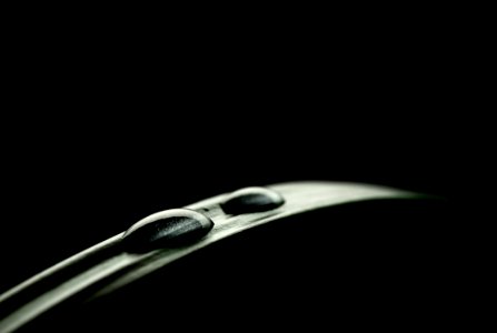 Drops On Leaf