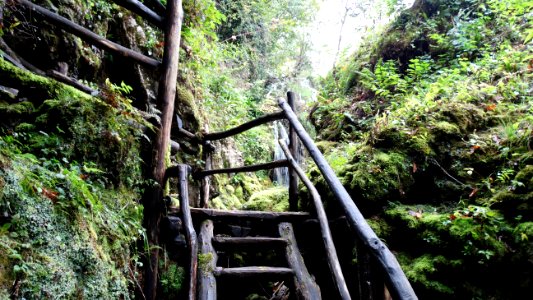 Black Wood Stairs Going To Waterfall During Daytime