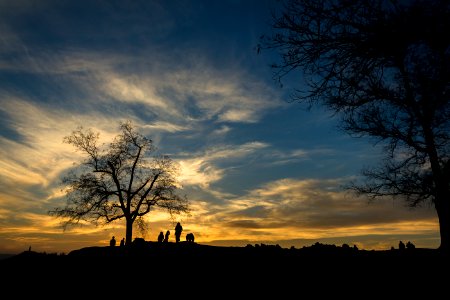 Silhouette Of Person Near Bare Tree At Sunset