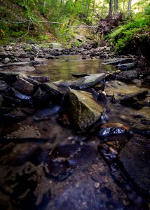 Time Lapse Photo Of Stream On Green Forest photo