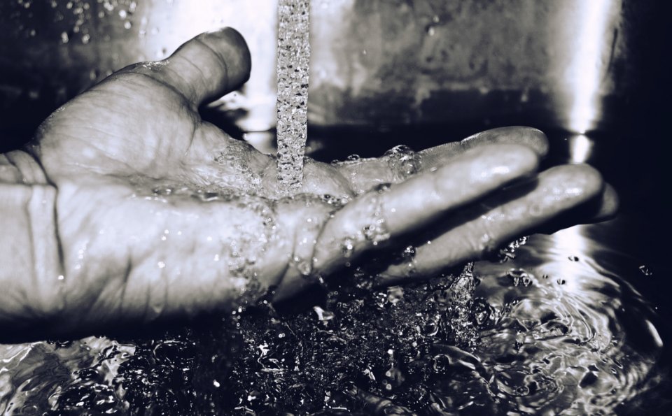 Grayscale Photography Of Hand