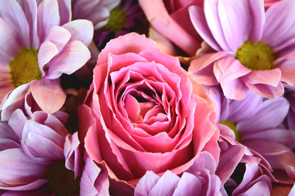 Floral Bouquet