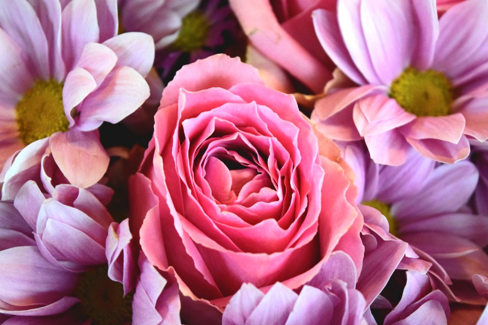 Floral Bouquet photo