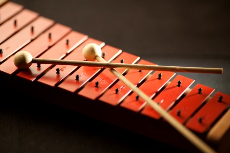 Shallow Focus Photography Of Red Xylophone photo