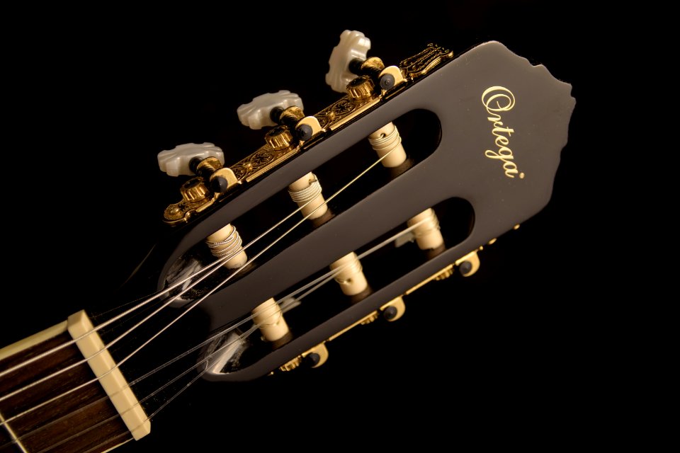 Black Ortega Guitar Headstock
