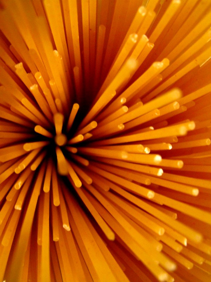 Close Up Of Pasta Noodles