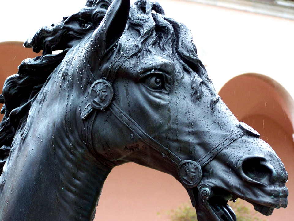 Museum equestrian art