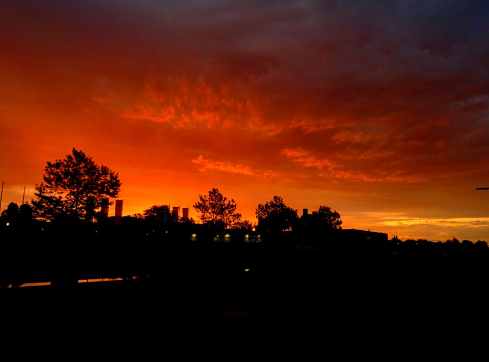 Silhouette Of Trees And Building During Sunset photo