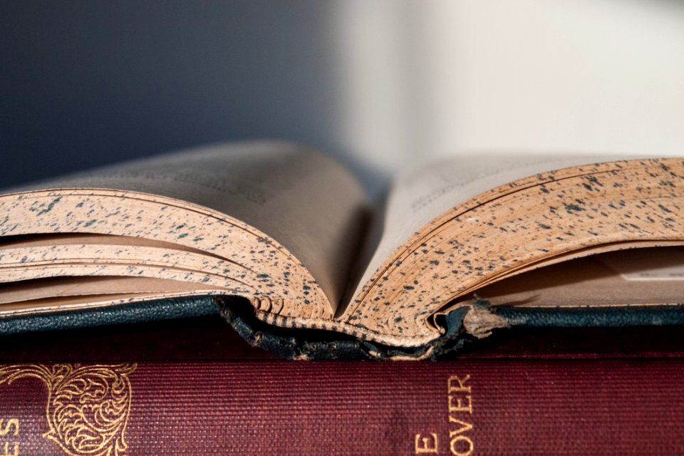 Closed Up Photo Of An Open Book