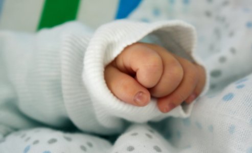Close Up Of Babys Hand photo