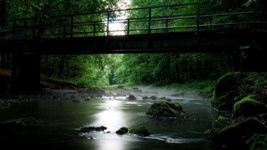 River With Rocks Under Bridge Surrounded By Green Leaf Trees During Daytime