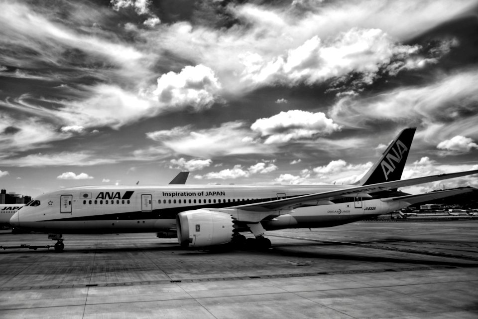 Ana Air Lines Airplane On