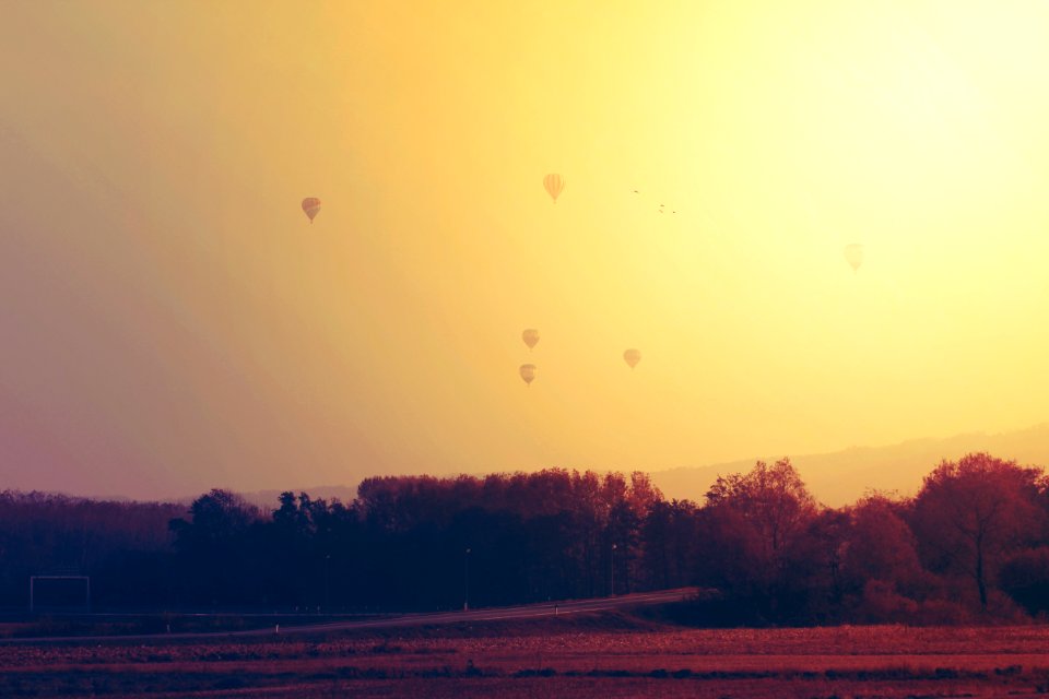 Hot Air Balloons At Sunrise