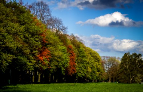 Green And Red Tress Under Blue Sky And White Clouds During Daytime photo