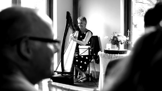 Woman Playing Harp On Stage Grayscale photo