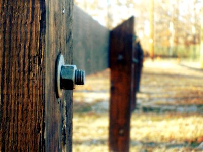 Selective Focus Photography Of Grey Bolt Pierced In Brown Wooden Fence During Daytime photo