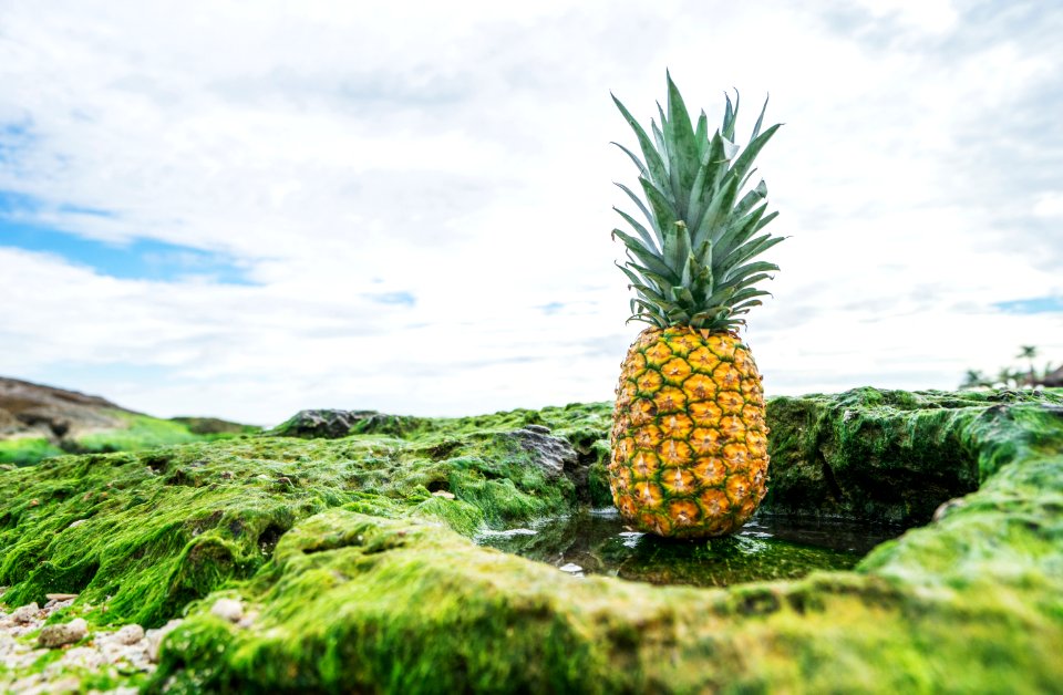 Pineapple In Green Field