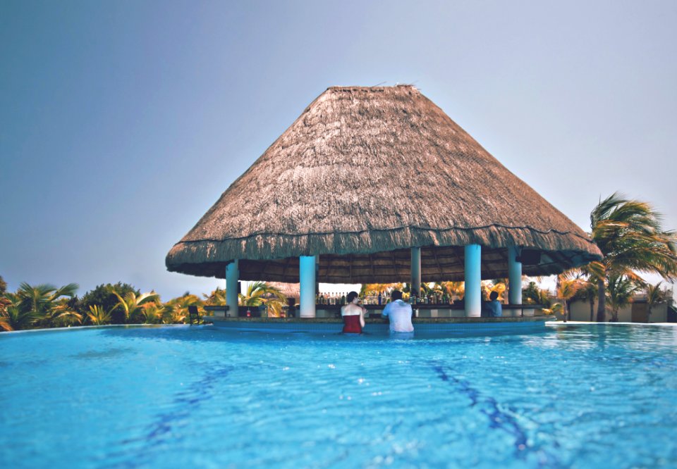 Tropical Swimming Pool Bar