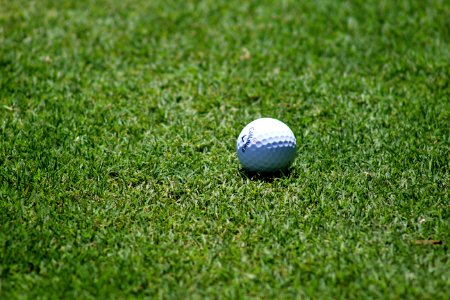 Golf Ball On Grass