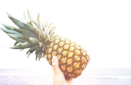Hand Holding Pineapple At Beach photo